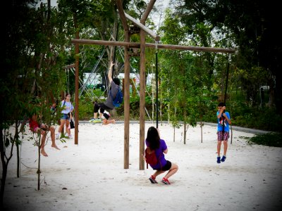 fun day @ redeveloped jurong lake gardens - see-saw swing photo