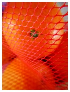 oranges in mesh bag