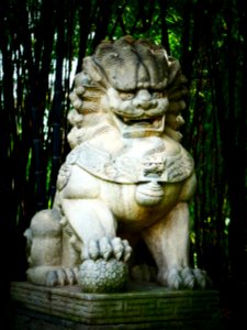 Oriental themed garden - guardian lion