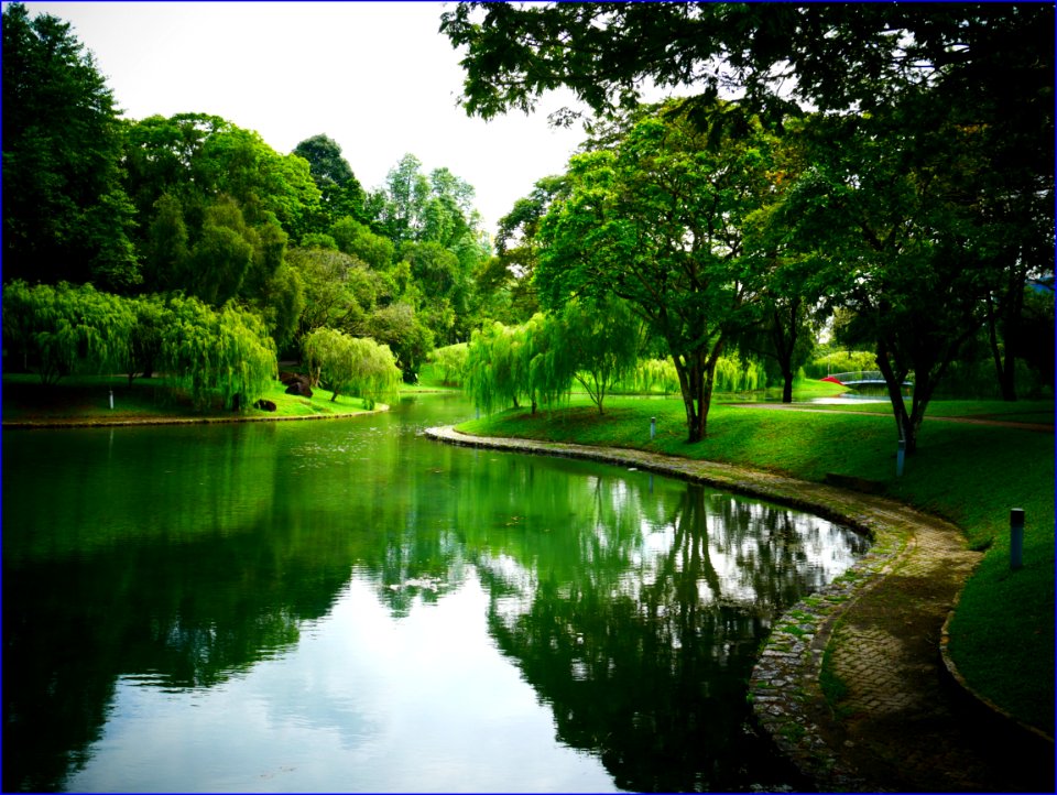 Bishan-AMK pond gardens