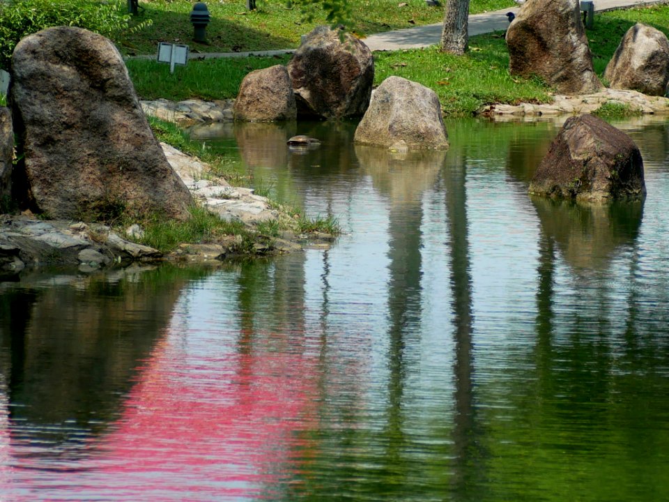 Bright Hill Temple garden - the pond