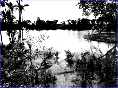 jurong lake gardens - the lake