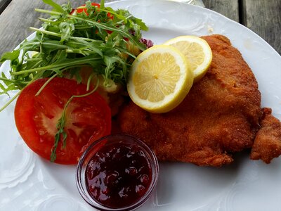 Schnitzel eat austria