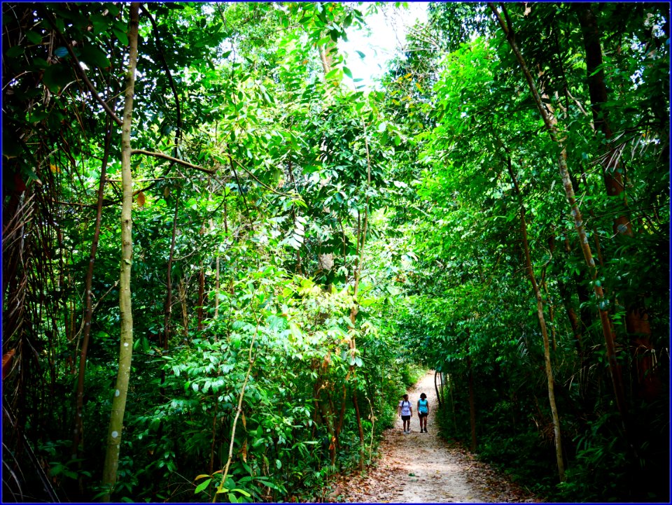 walking in one of the trails