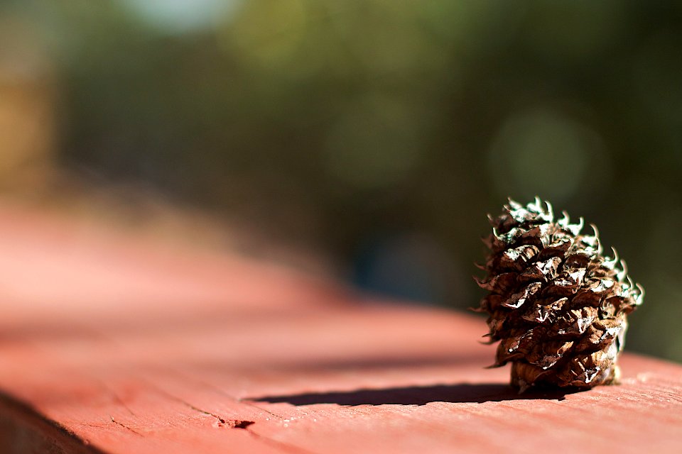Mini Cone