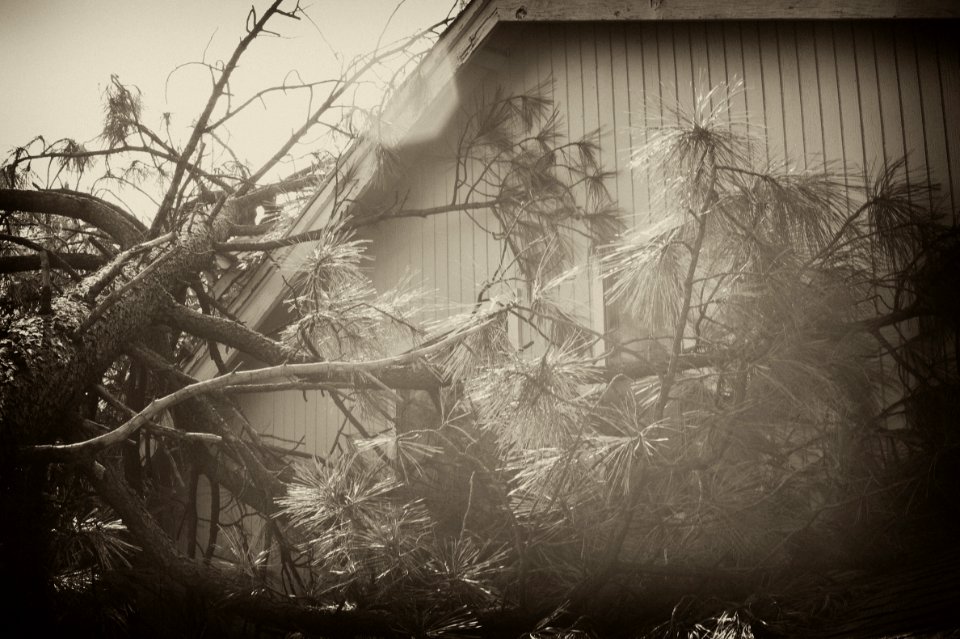 Remember That Bad Storm of '38?