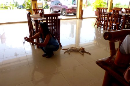 SAMANA (02)