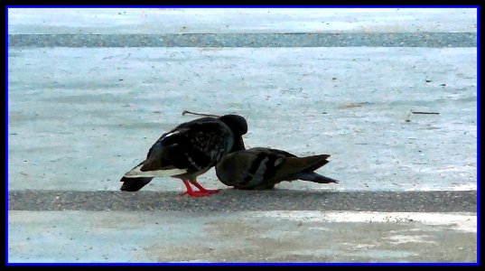 making out...yes, all living things need love