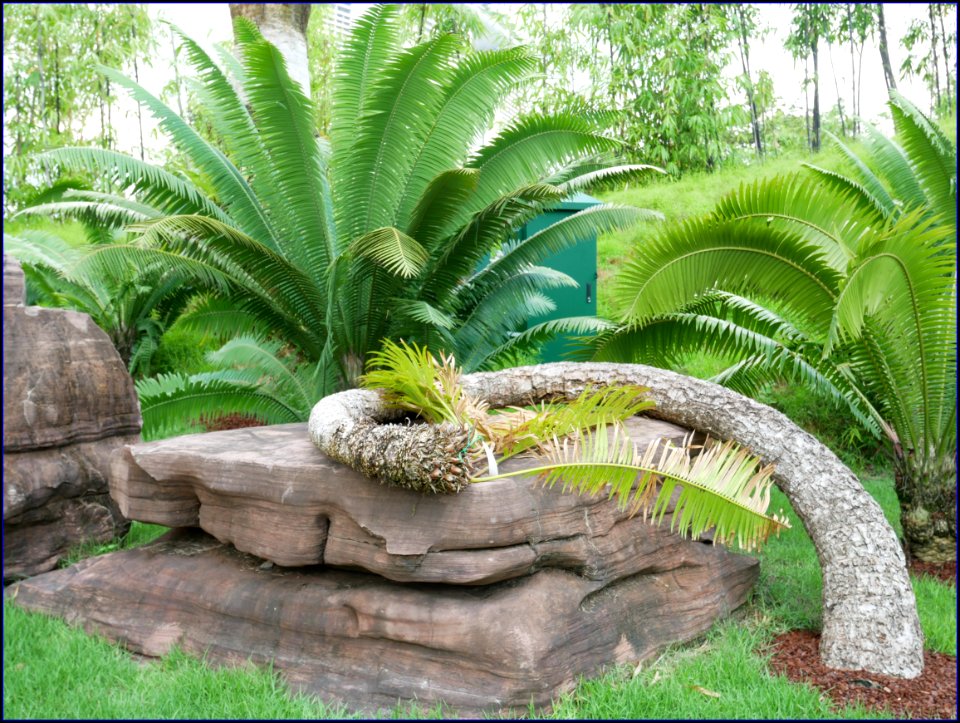gardens by the bay south: serene garden - sleeping plant