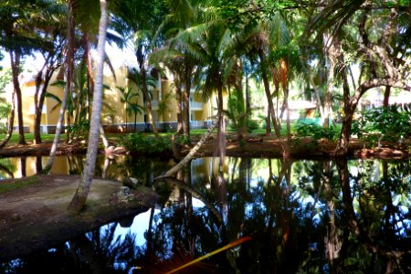SAMANA (51)