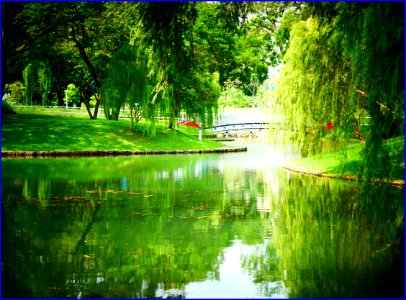 Bishan-AMK pond gardens photo