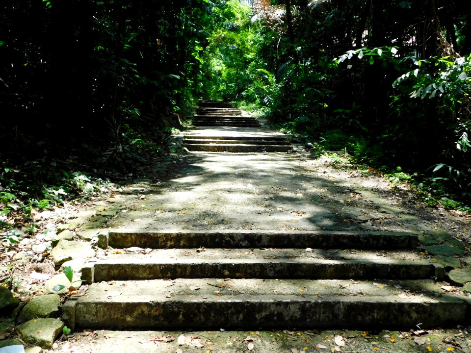 01 gentle slope going up Mt Faber photo