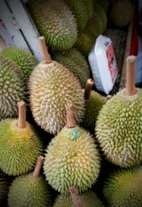 Durian - smelliest fruit in the world but the taste of its meat is out of this world photo