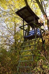 Perch observation gamekeeper