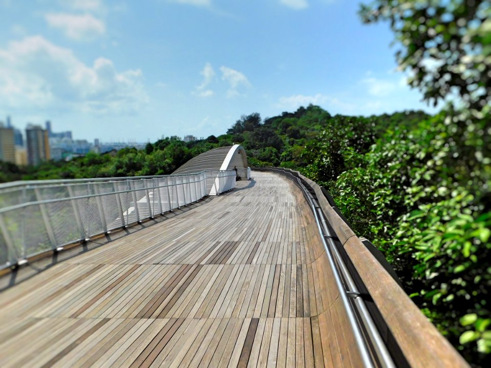 46 henderson waves photo