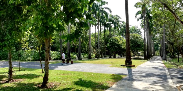 AMK town garden west - peaceful environment to de-stress physical and mentally
