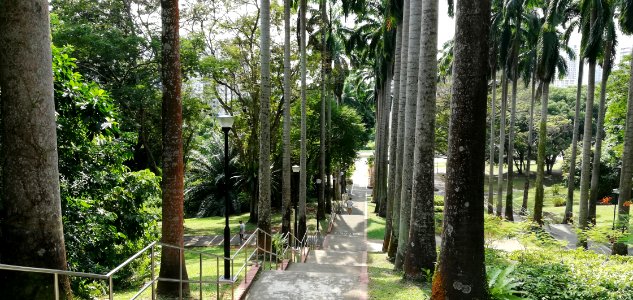 AMK town garden west - main entrance to the park photo