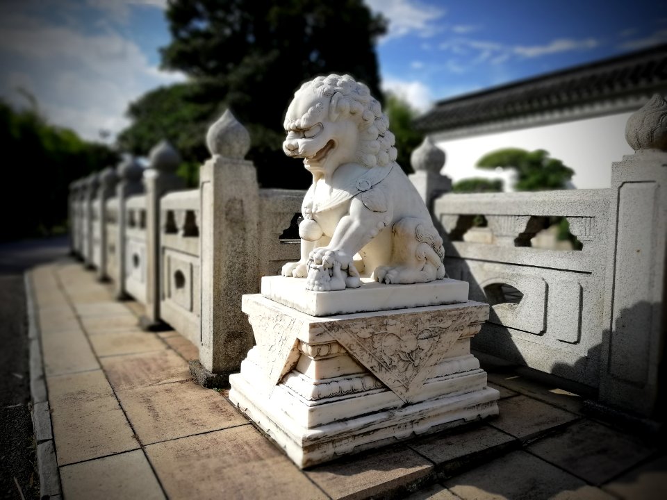 lion guarding entrance to japanese house @ chinese garden