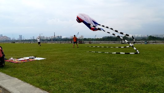 06 kite flying photo