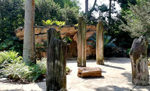 trees of stone - trunks are fossilised remains of real ancient trees