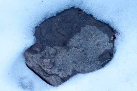 Ying Yang on a Rock in A Snow photo