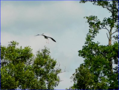 prepare to land