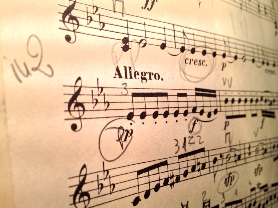 Mozart performance orchestra