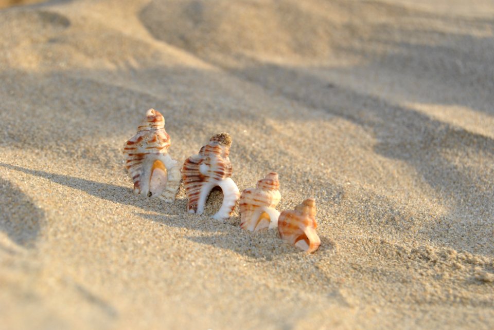 Playa La Bota. Punta Umbría (Huelva).