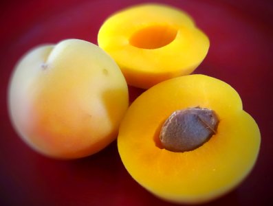 apricots photo