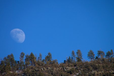 Moon Rising