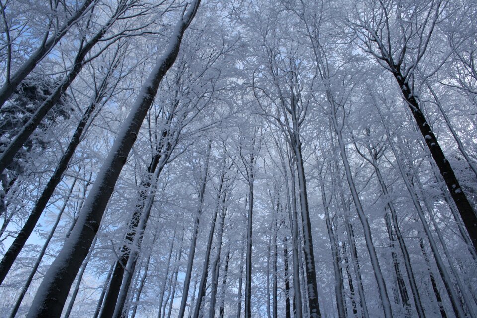 Pustevny beskydy snow