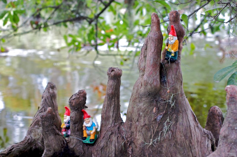 Gnomes Hanging Out