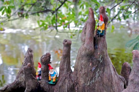 Gnomes Hanging Out
