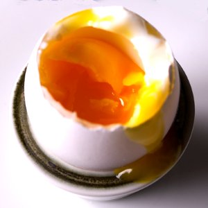 egg
