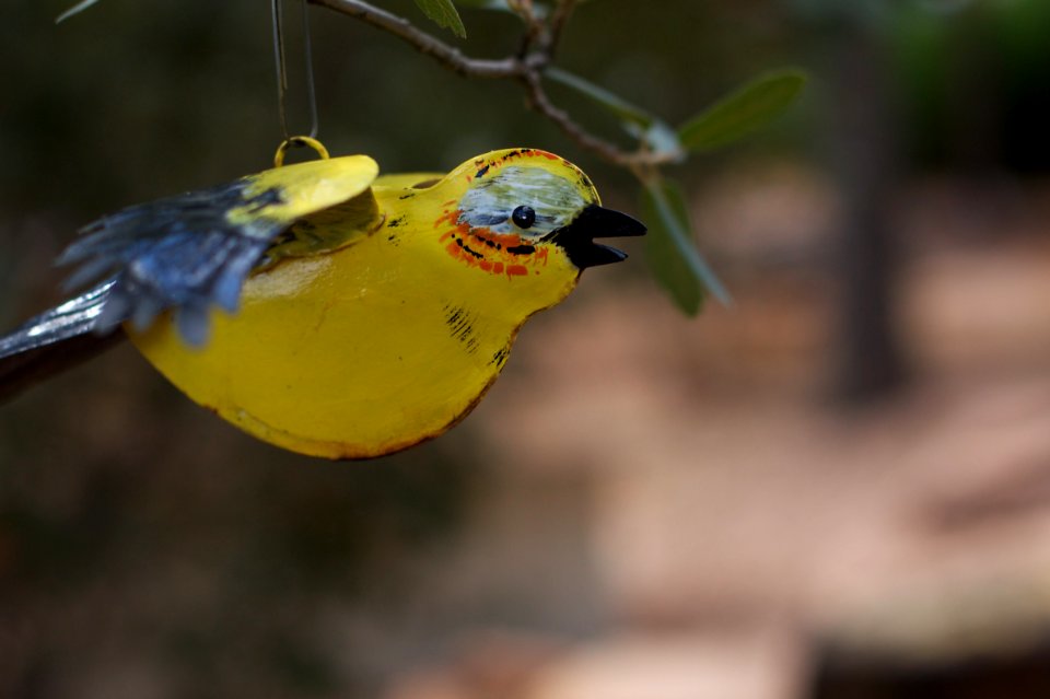 If Ony Geppetto Could Make Me Into a Real Bird....