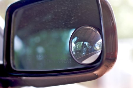 CogDogs in this Mirror Are Sillier Than They Appear