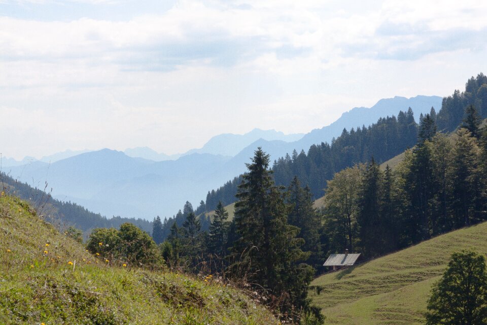 Sudelfeld alm pasture