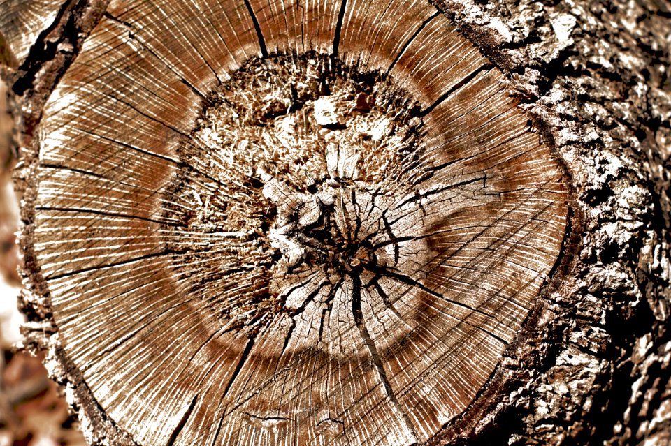 Stumped