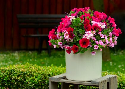Flowerpot terrace decoration photo