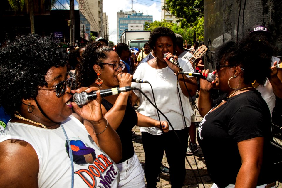 16.02.2019 - Blocos Populares: Folia Pelotense - Foto: Gustavo Vara photo