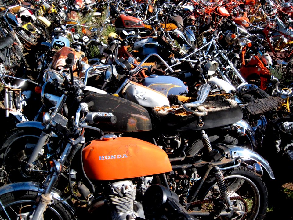 They Got Bikes at All Bikes