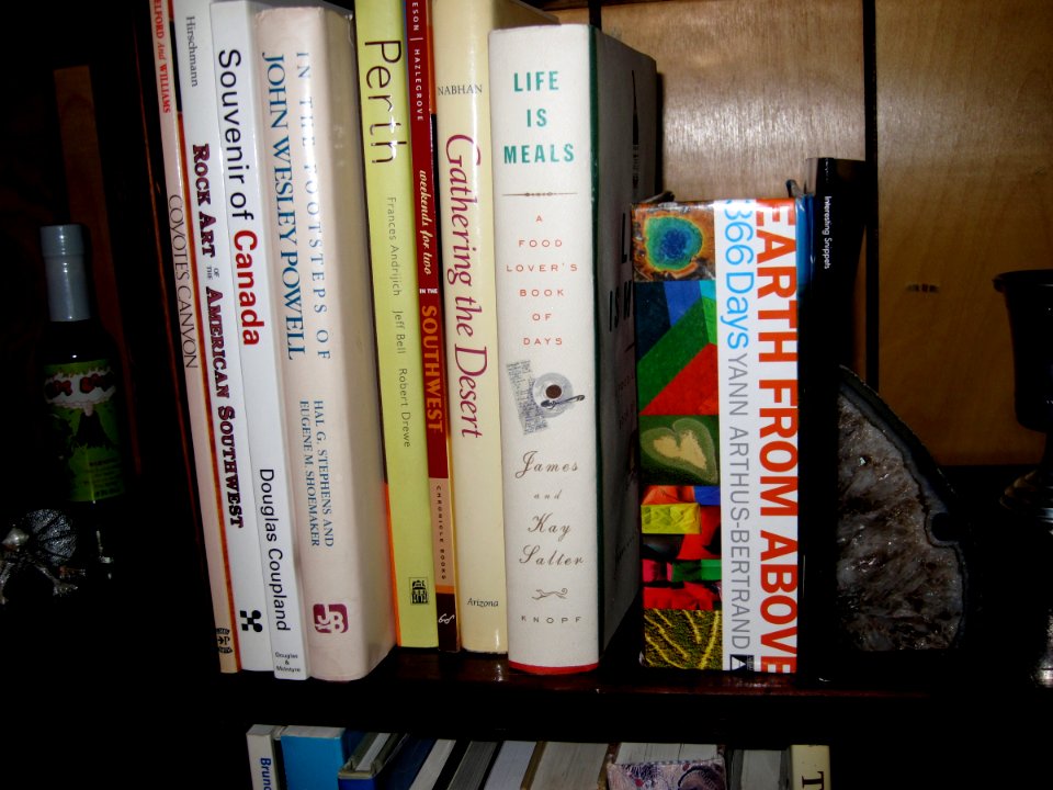 Misc Books on Shelf
