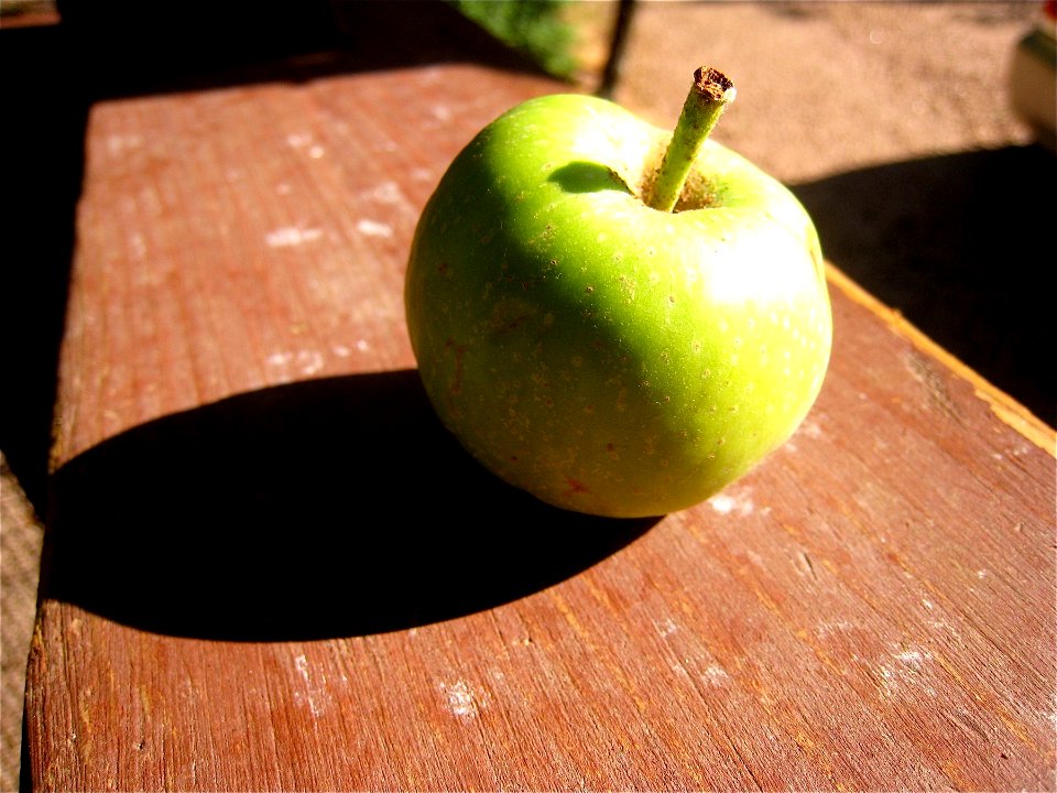 Apple Thoughts
