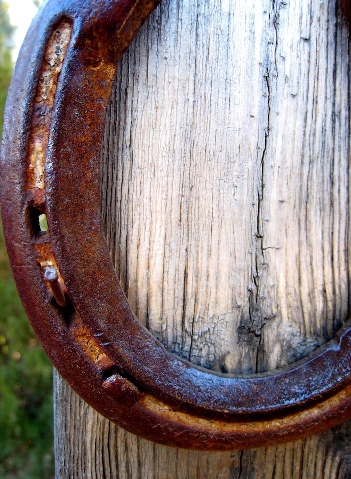 Horseshoe on Post