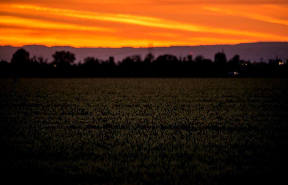 20150415-NRCS-LSC-1000