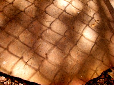 Fence / Rock Shadow Play 3