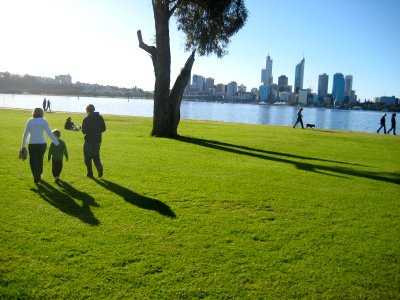 regina, theo, rob, tree and perth