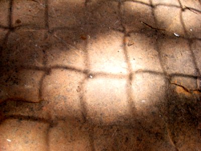 Fence / Rock Shadow Play 2