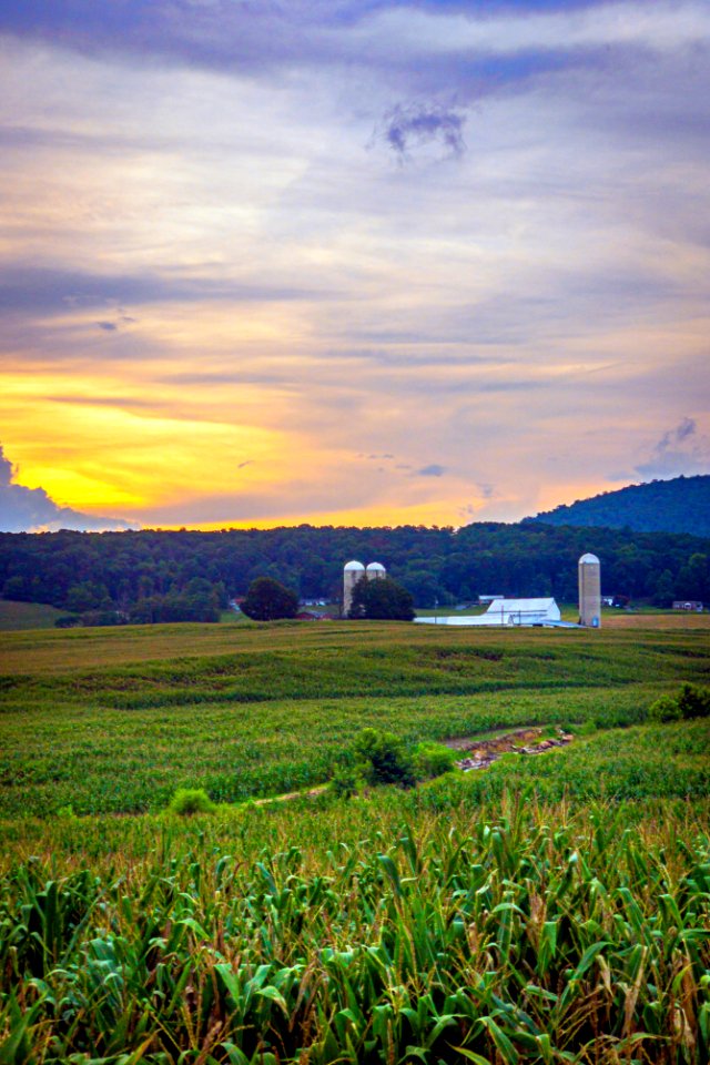 20200812-FPAC-MdScenics002 TONED