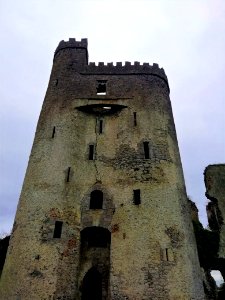 Ballyadams Castle, Laois